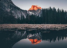 2026世界杯客户端安装-时隔两年再砍三双！尼克斯成功激活兰德尔最大潜力